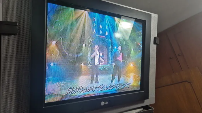 TV LG - FLATON - 29 Polegadas com controle remoto 