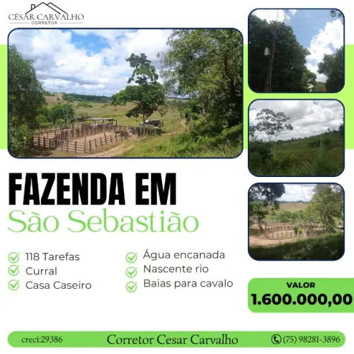 FAZENDA EM SÃO SEBASTIÃO - 118 TAREFAS