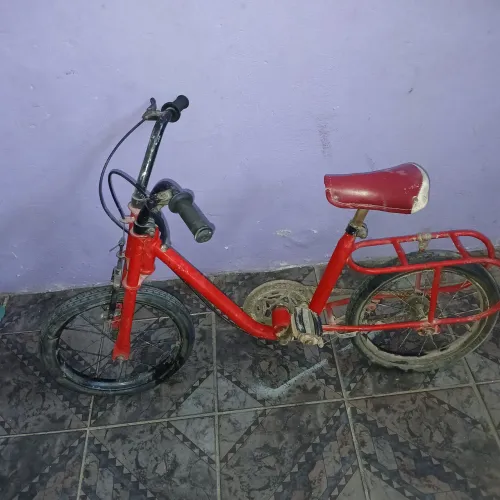 Bicicleta coloi berlineta