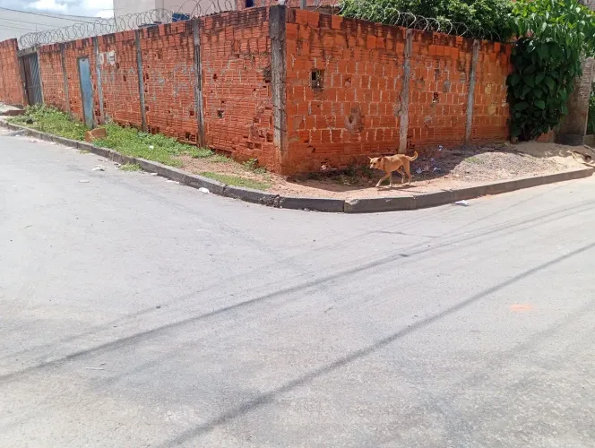 Lote de Esquina 150 m²...Com barracão 5 Cómodos 