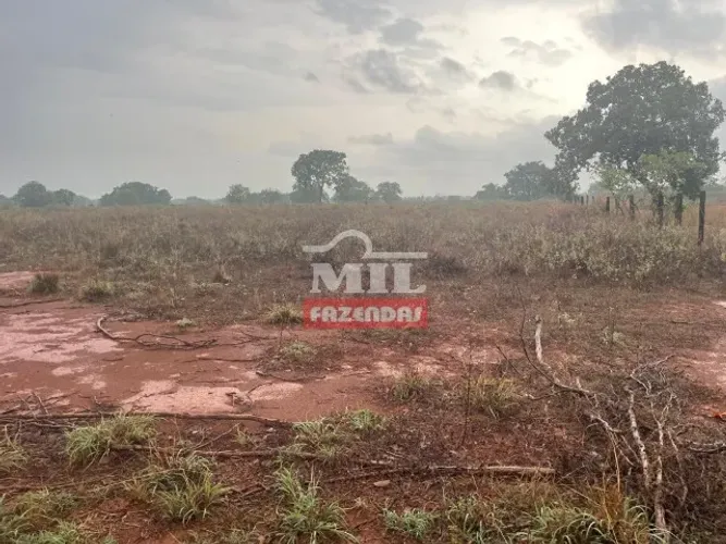 Fazenda 408 alqueires (1.976,16 hectares) Goianorte - To