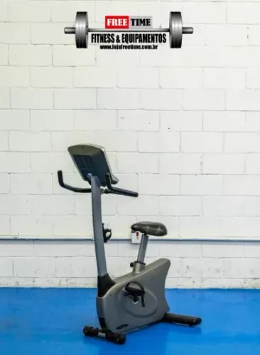 Bike Vertical Vision Fitness usado