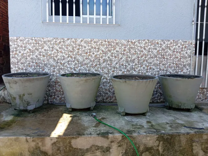 Vende-se jarro de planta