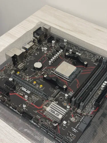 Processador Ryzen 5 5600 + B450M ASUS