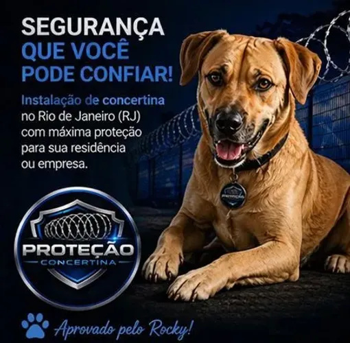 Rocky recomenda concertina | Instalação no RJ