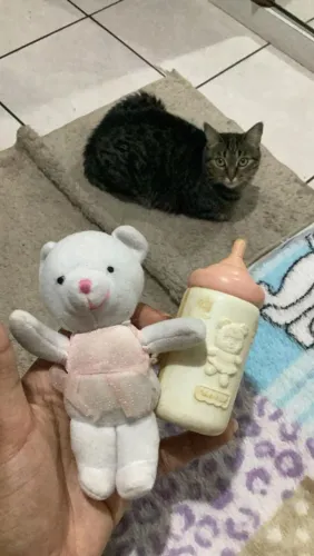 Kit little mommy ursinho e mamadeira