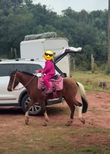 Cavalo petiço/pitiço