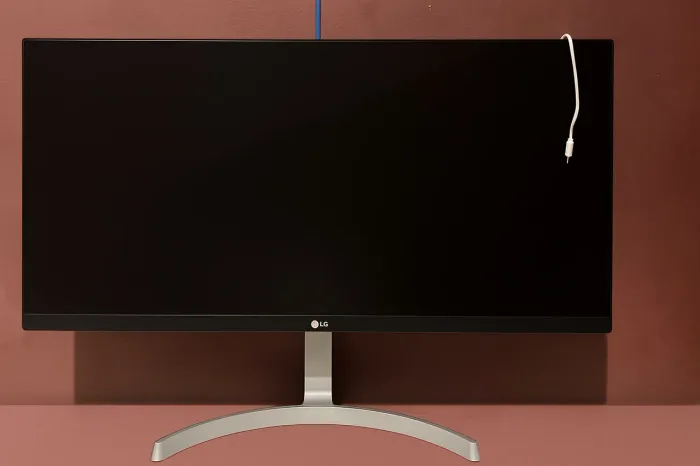 Monitor Ultrawide (Seminovo) 29"