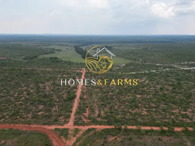 Fazenda à Venda em Eliseu Martins, PI 26.000 ha, Área para Soja, Oportunidade Agro
