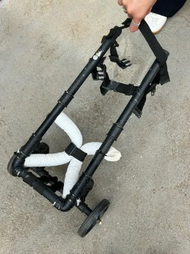 Cadeira de rodas para cachorro
