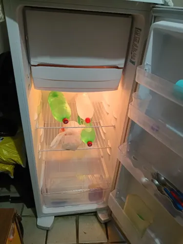 Geladeira 