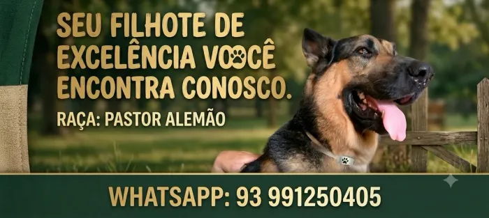 FILHOTES DE PASTOR ALEMÃO 