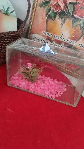 Mini aquario