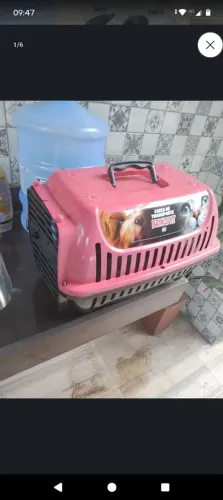Caixa de transporte no precinho