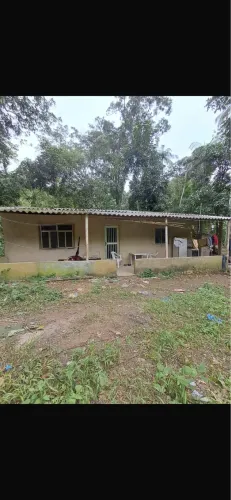 VENDO CASA NA ILHA