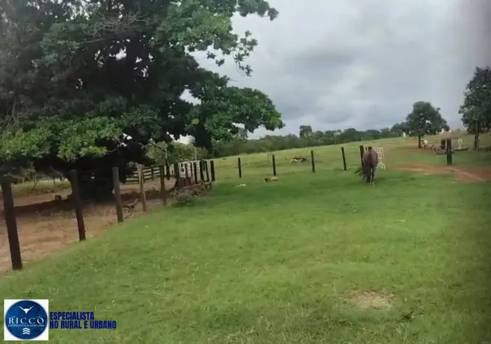 Fazenda à Venda em Santa Fé de Goiás 81,5 Alqueires - Dupla Aptidão