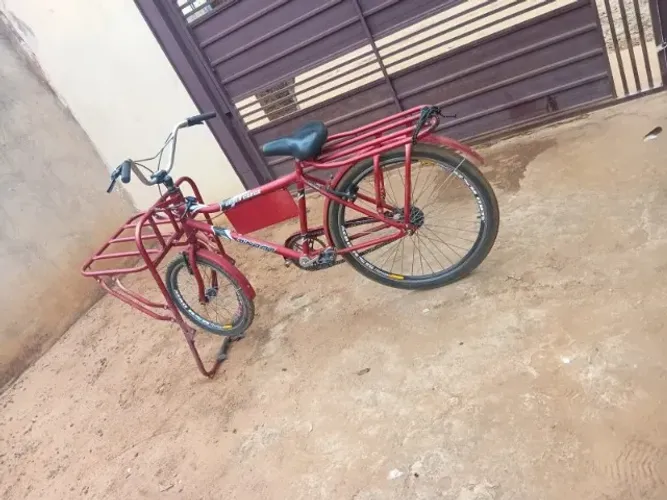 Bicicleta cargueira 
