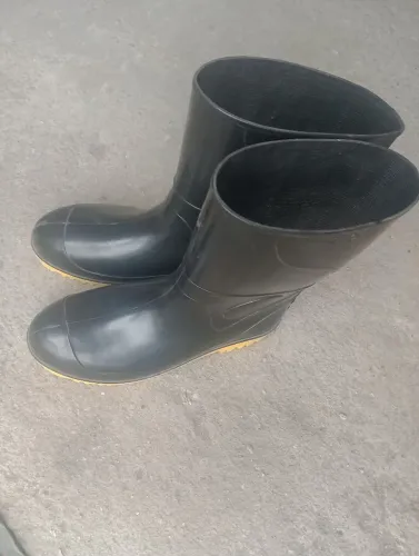 Bota