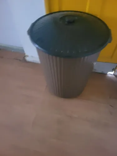 cesto