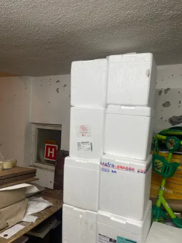 Caixa de Isopor Térmica Reforçada (Parede Grossa)