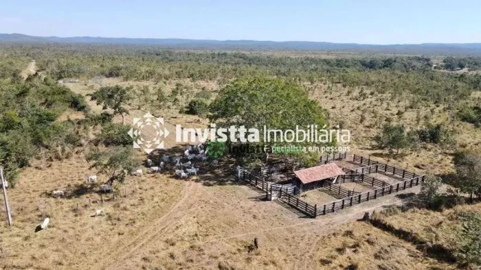 Fazenda à venda em Almas/TO com 1.000 hectares, rio perene e estrutura para pecuária
