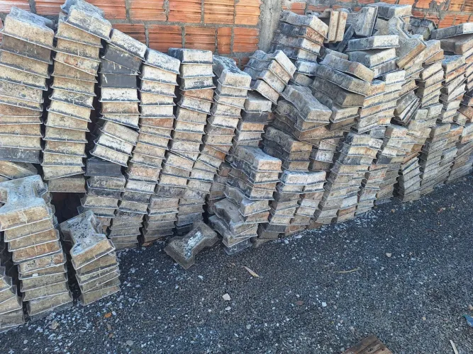 Forma paver ossinho