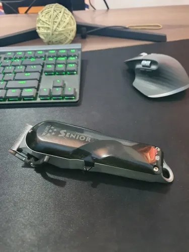 Wahl senior