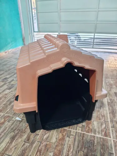 Casa de Cachorro