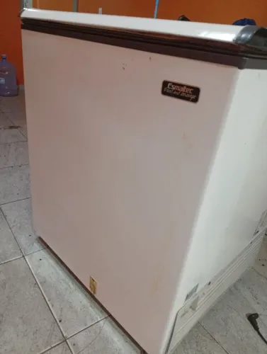 Freezer horizontal