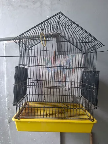 Gaiola