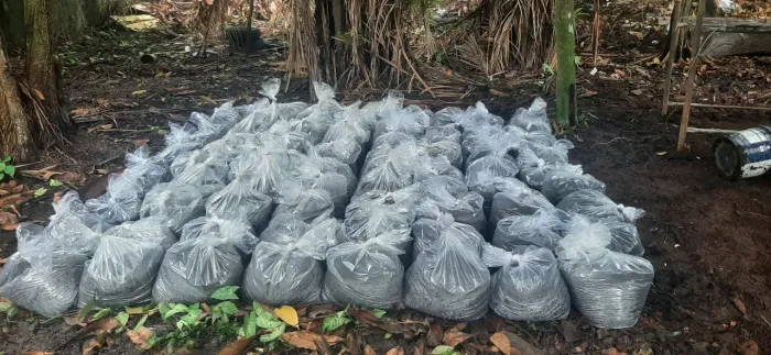 Preciso de pessoas pra retirar terra preta!