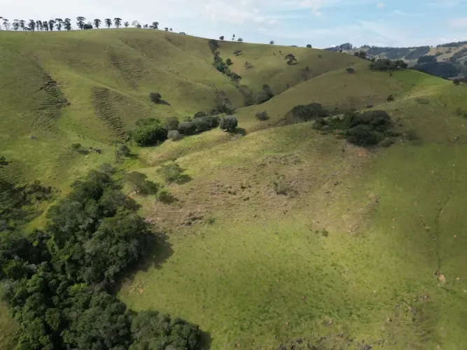Terreno na cidade de Itapeva com 26 alqueires de terra!