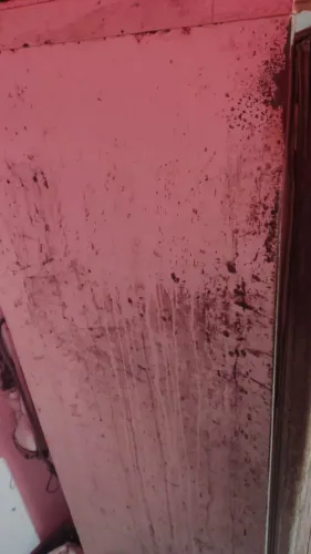 Vendo um geladeira tem que dá uma pintada nela mais gela muito bem
