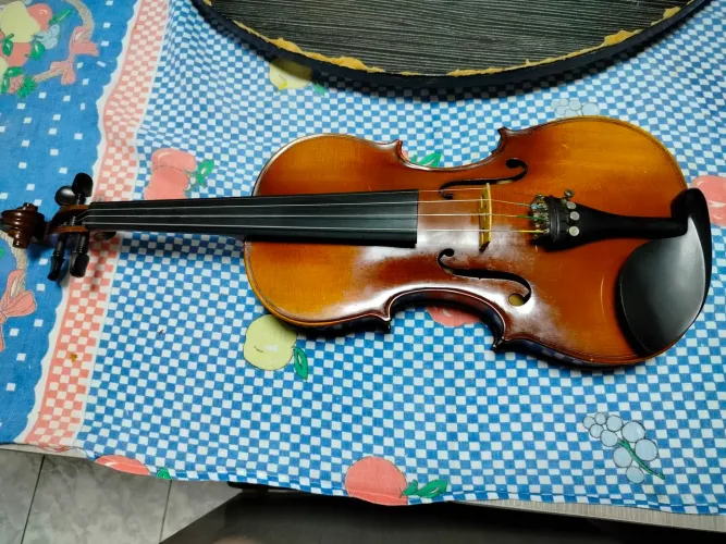 Violino Zion usado
