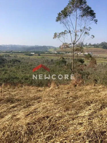 Lote em Estrada dos Alves - Itaquaciara - Itapecerica da Serra/SP