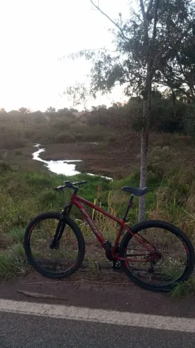 Bike aro 29