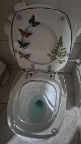 Tampa/Assento de vaso sanitário em acrílico transparente decorado