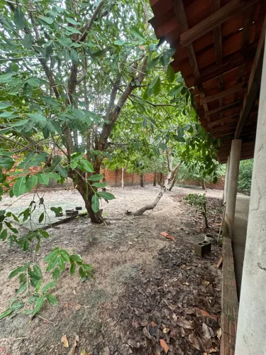 Vendo sítio Panaquatira com árvores frutíferas