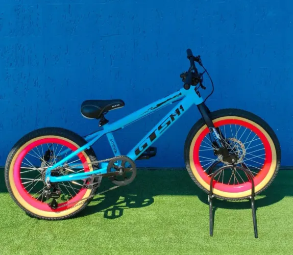 Bicicleta GTS Aro 20 Freio Hidráulico