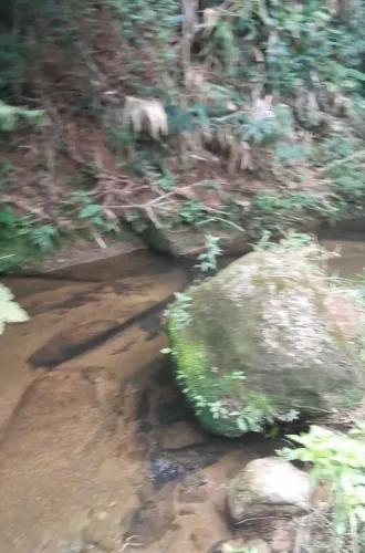 TERRENO PARA SITIO.