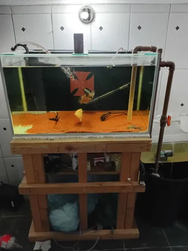 Aquário 300 litros