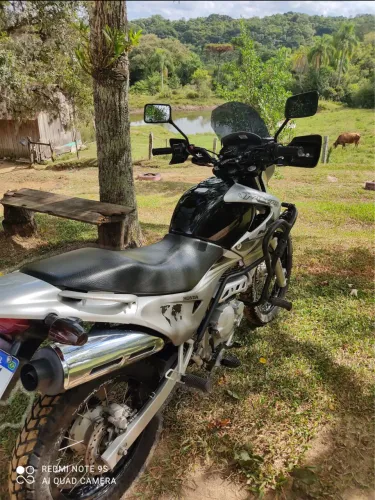 Falcon RARIDADE