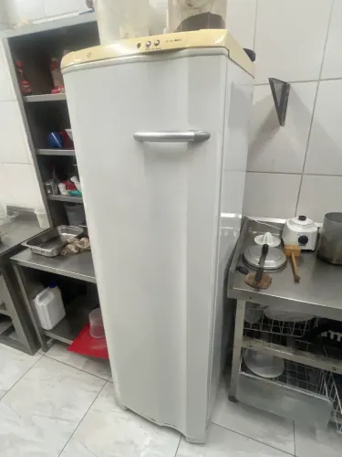 Congelador Electrolux fe26