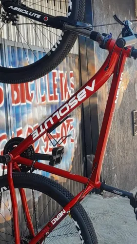 Bicicleta Nero 06 aro 29