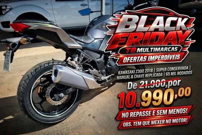 Z300 2018
