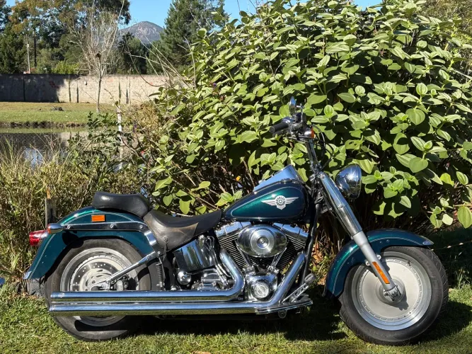 Harley Davidson - Softail Fat Boy Carburada
