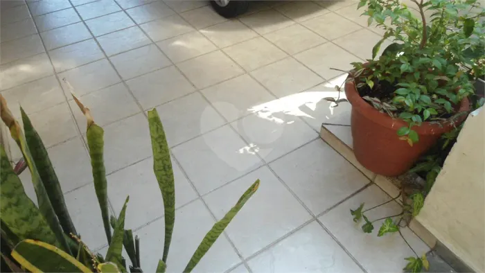 Sobrado à venda ou para alugar com 3 suítes em Vila Mascote, São Paulo - SP