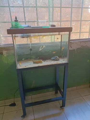 Vendo Aquário