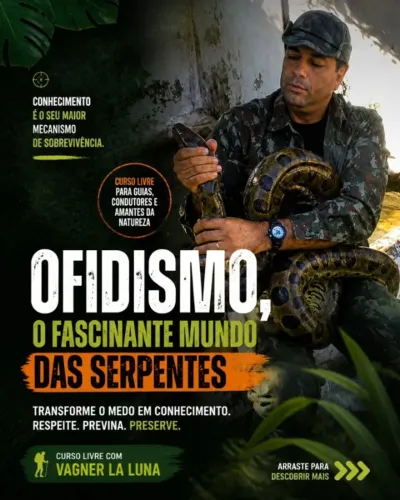 Cursos e treinamentos