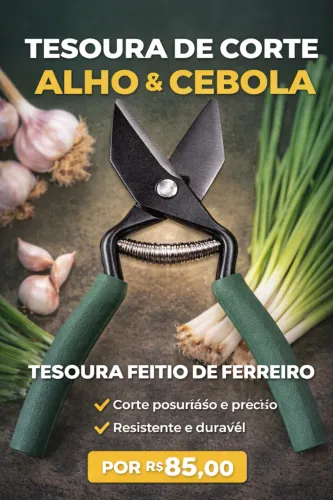 Tesouras para corte de alho, cebola